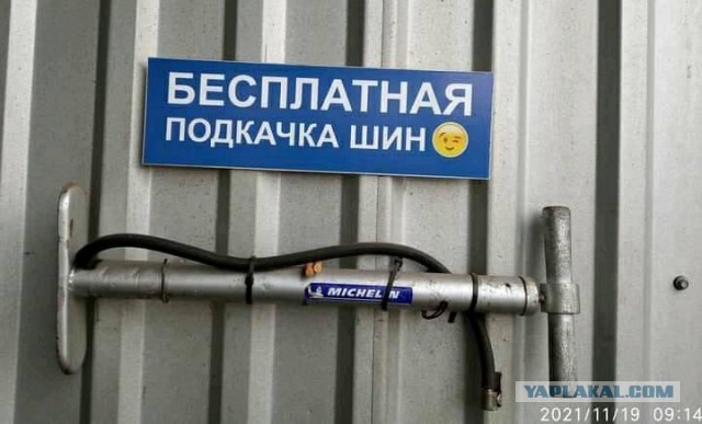 Всяческие картинки 10.12.2021