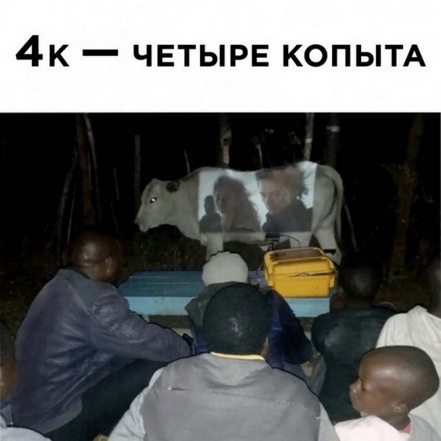 Человек собаке друг и другие картинки под настроение 13.01.2022