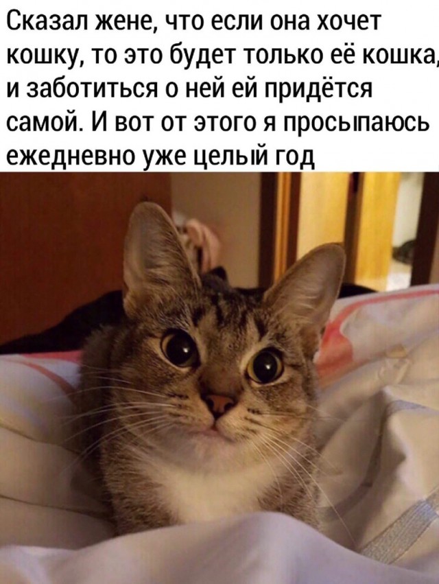 Так себе картинки 09.04.22