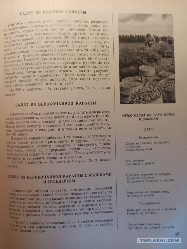 Здоровая и вкусная еда СССР 1954 год