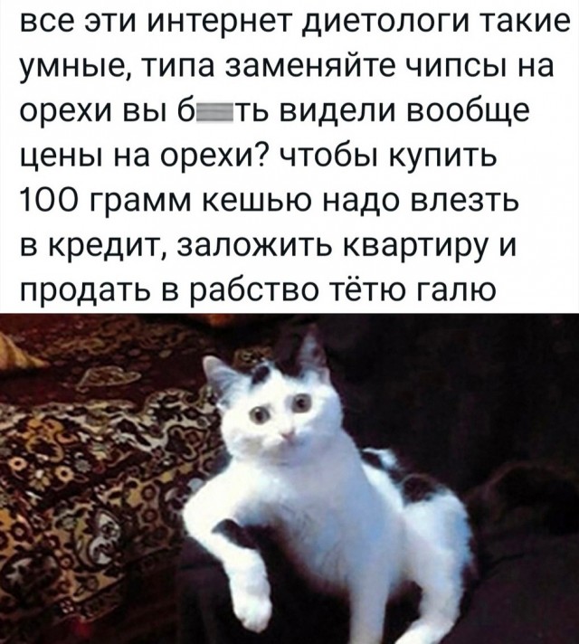 Так себе картинки 11.06.22