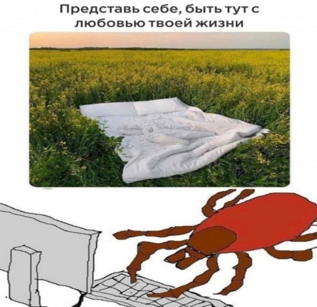 Забавные комментарии из Сети 19.06.22
