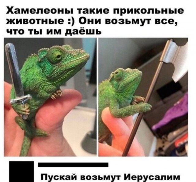 Скриншоты и комментарии из социальных сетей 23.08.22