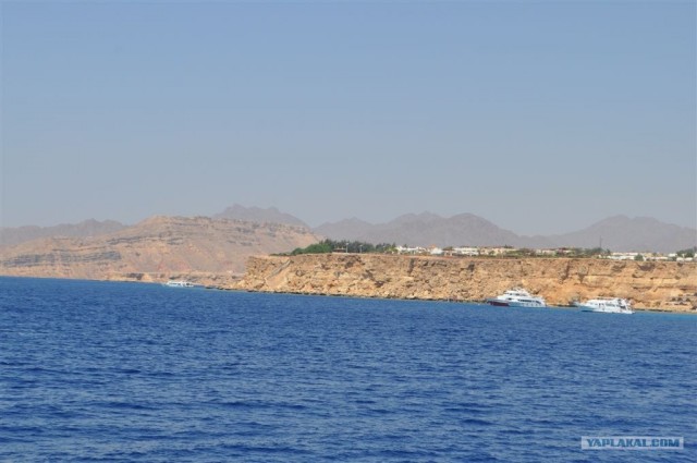 Как я ездил в Египет