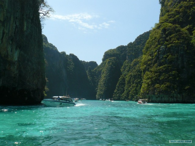 Немного Тая