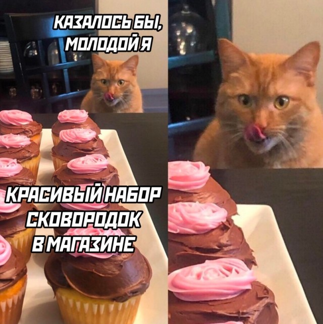 Картинки и мемы. Выходные близко...