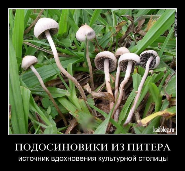 Прикольные и просто красивые картинки 27.12.2022