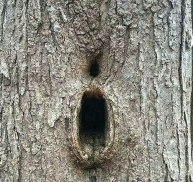 Делюсь фотой благоверной