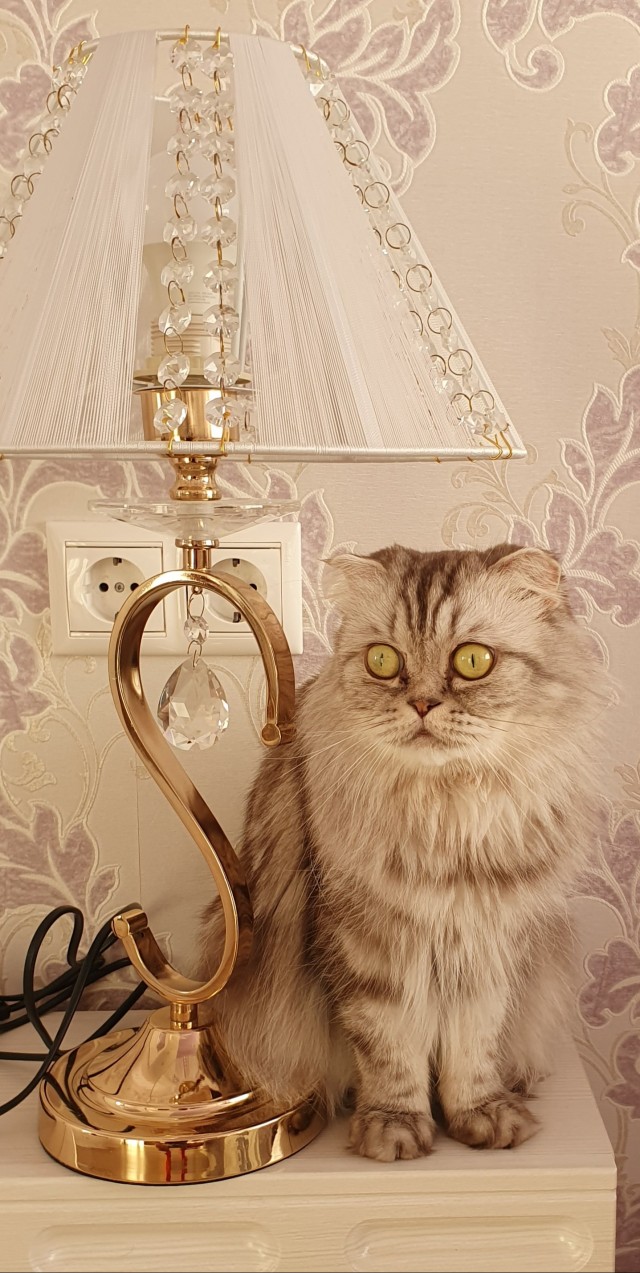 Поймал момент!