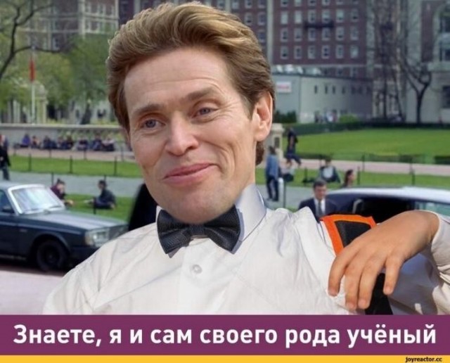Катарский ученый объяснил, как правильно бить жену