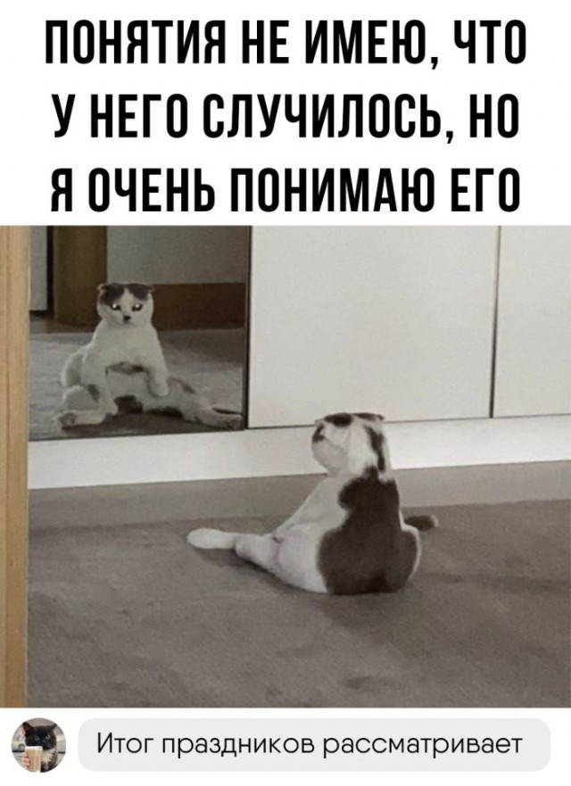 Картинки и мемы для настроения - 119
