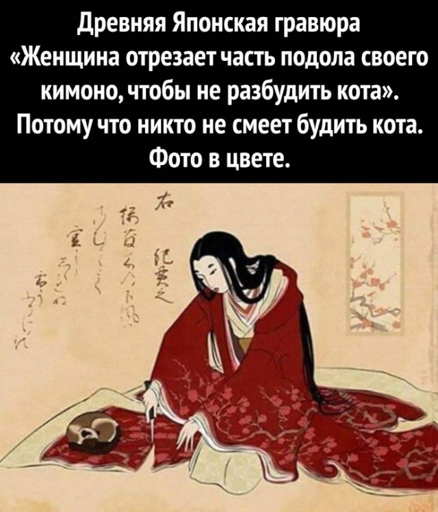 Картинки и мемы для настроения - 119