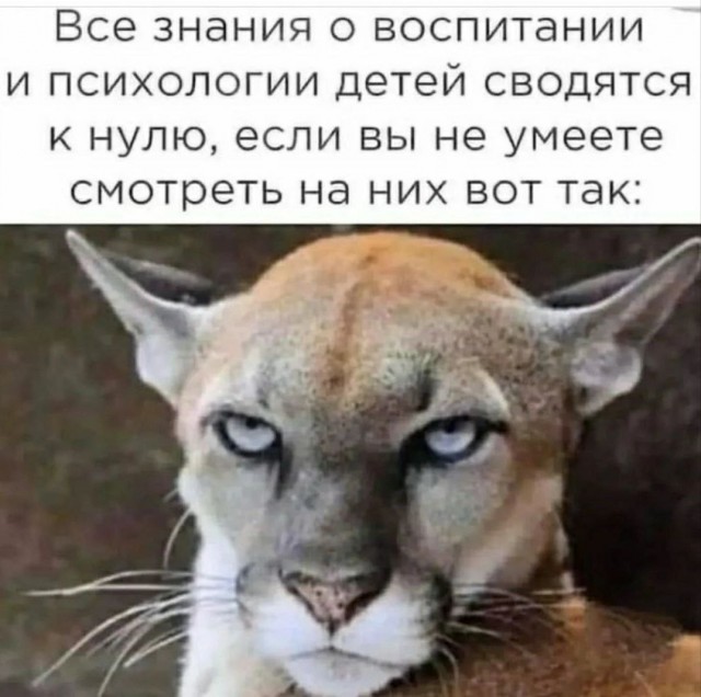 Так себе картинки 28.01.23