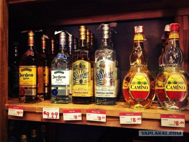 Таиланд или Вьетнам, что лучше?