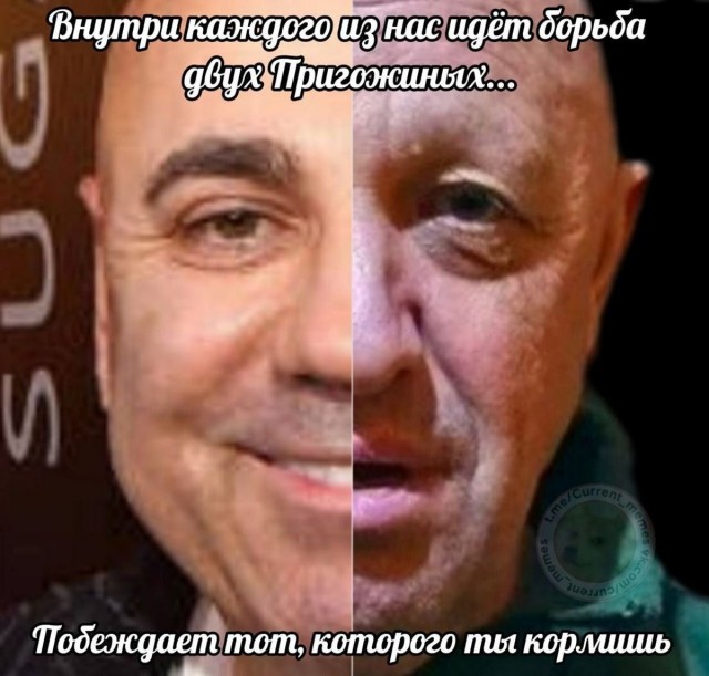 Победная поступь идиотизма по планете – том 11