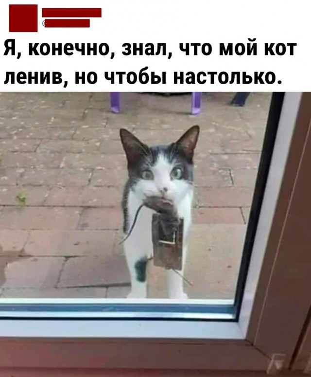 Так себе картинки 30.03.23