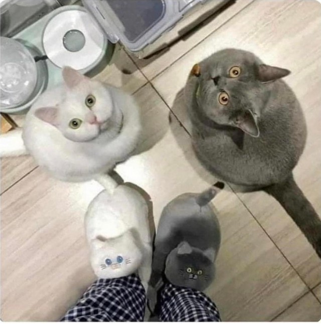 Подборка интересных и прикольных фото из Сети 01.04.23