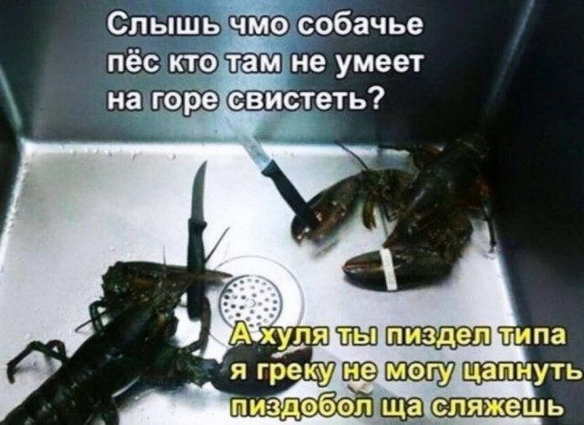 Картинок разной степени @банутости псто №2