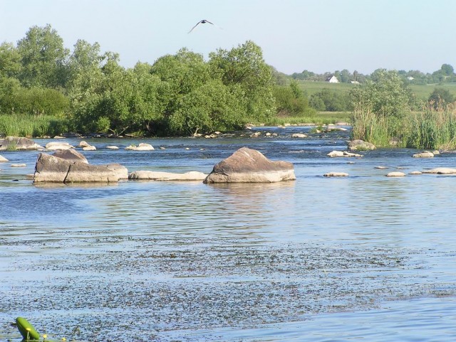 Сплав. Южный Буг.