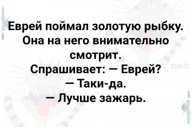 Всё, что нужно знать об эстонцах