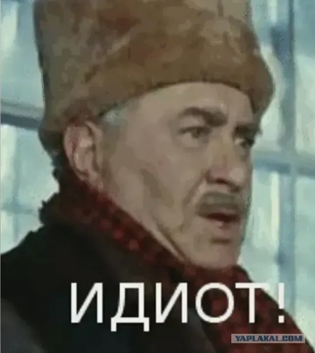 Главное, что газелиста не зашибли