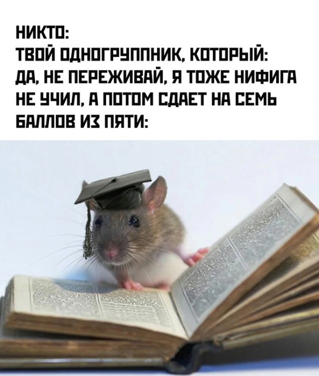 Весёлый полтишок 29.01.24