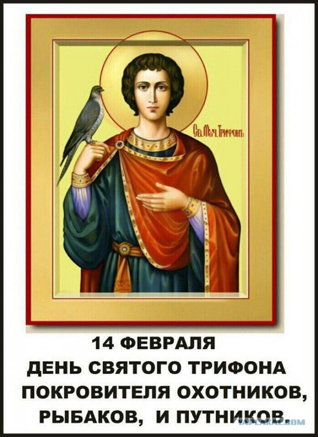 Крик души