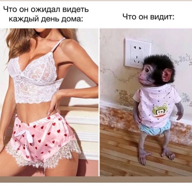 Так себе картинки 13.04.24