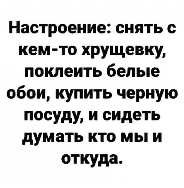 Весёлый полтишок 20.05.24