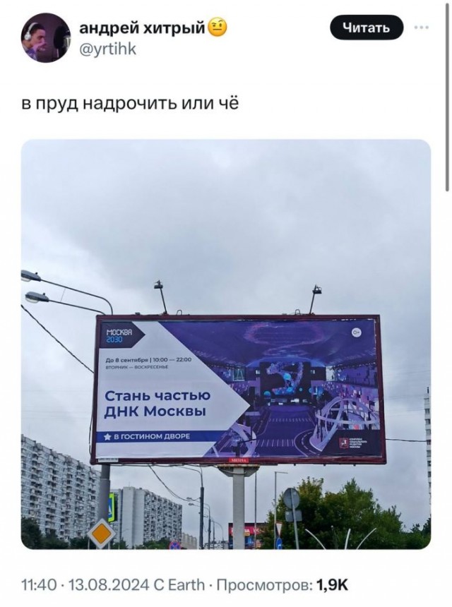 Веселые картинки к пятнице (30.08)