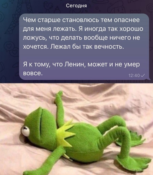 Весёлый полтишок 29.10.24