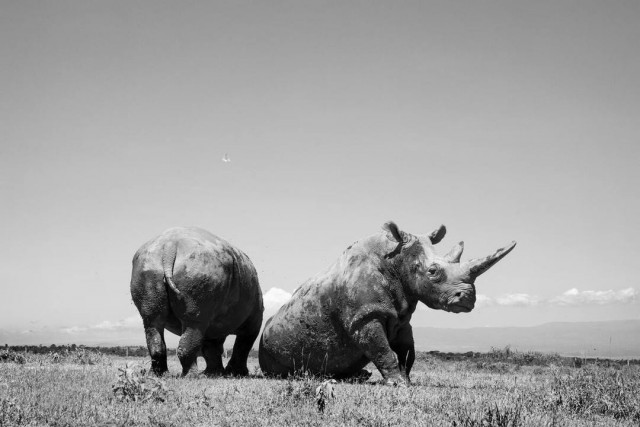 Мать и дочь