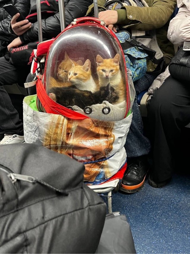 Космонавты в метро