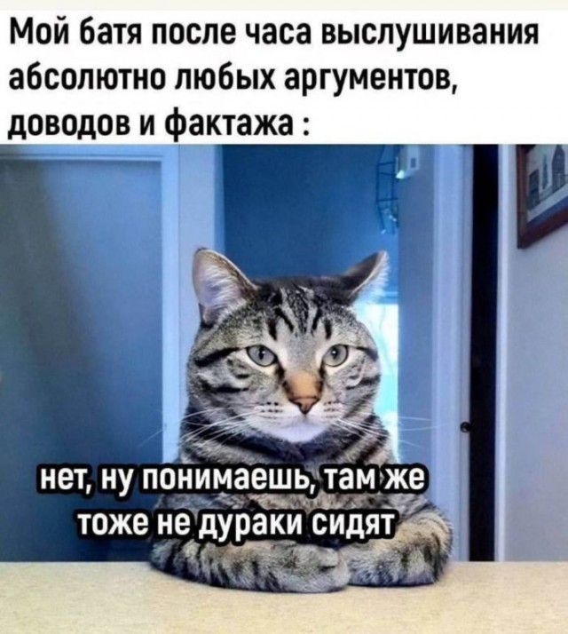 Веселые картинки к понедельнику (25.11)