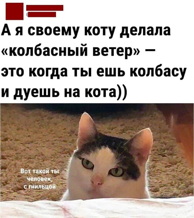 Ну дай мне курочку