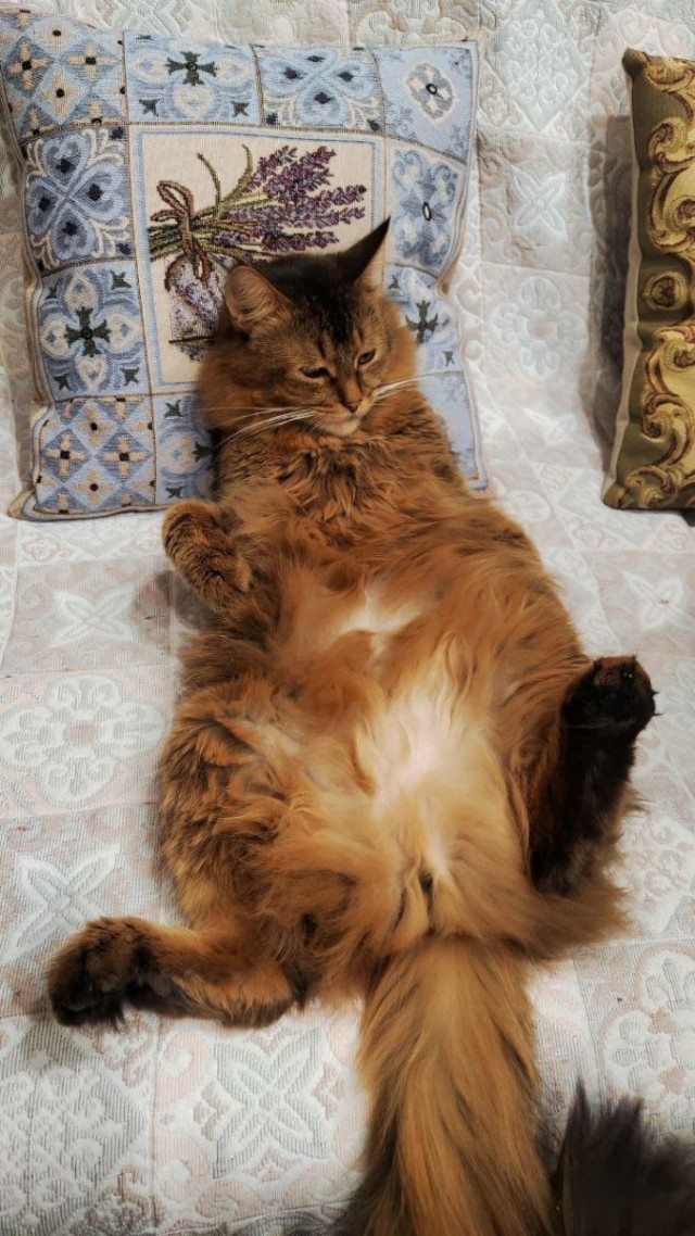Мои гопники