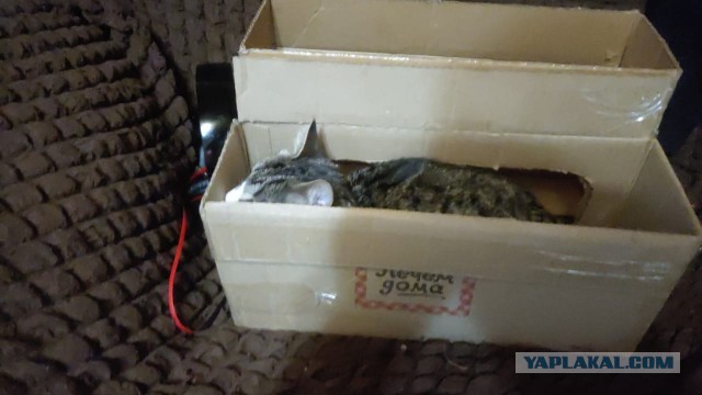 Вот и я стал рабом