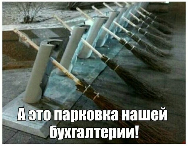 Немного забавных картинок от 13.02.2025