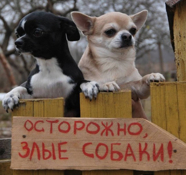 они ещё что то рассматривают.