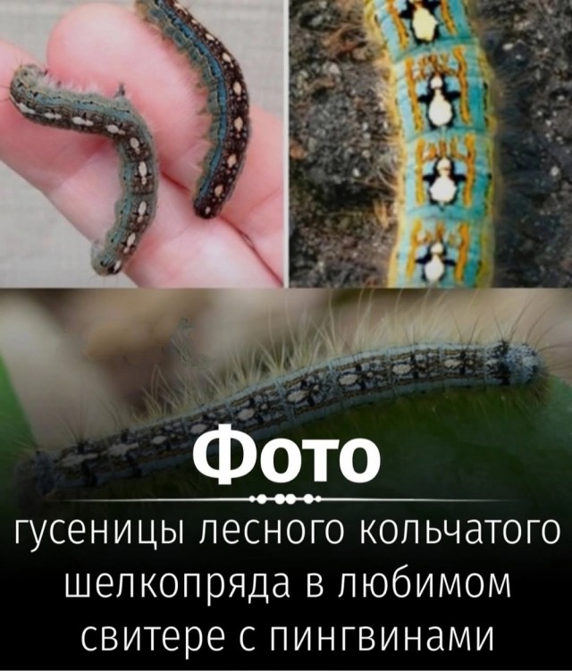 Так себе картинки 04.05.25