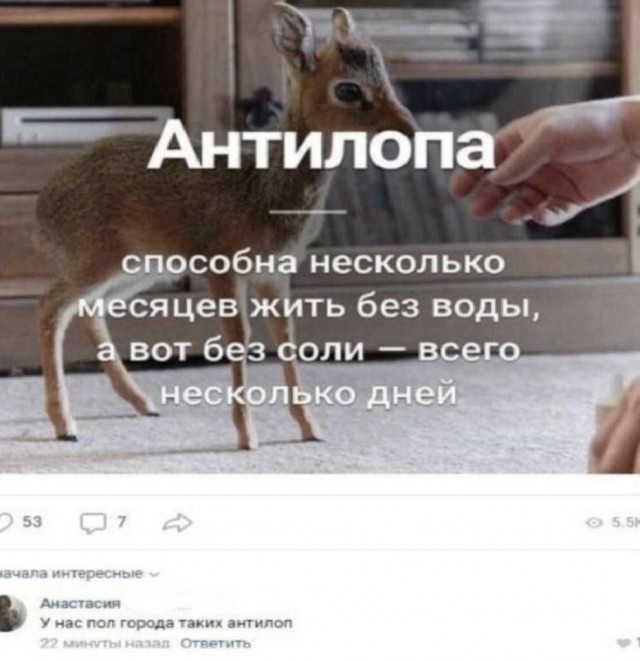 Так себе картинки 18.05.25