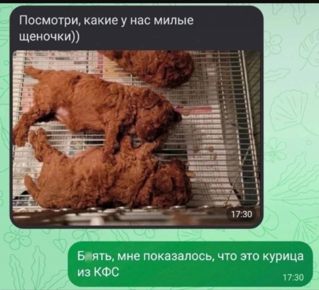 Веселые картинки в понедельник (02.06)