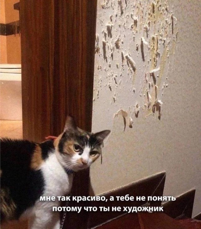 Весёлый полтишок 22.08.25