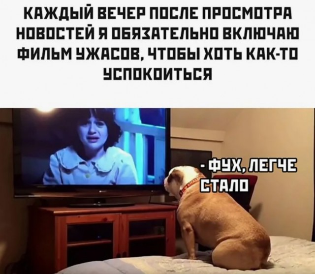Все еще не смотрите телевизор, коллеги?