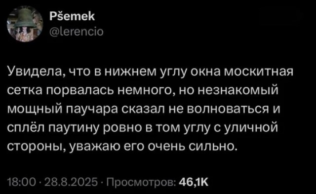 Картинки
