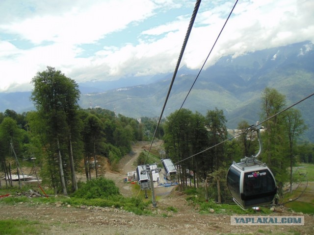 Отпуск в Сочи