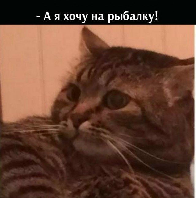 Утиная охота.