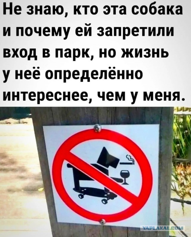 Всем любителям животных. Это норма?