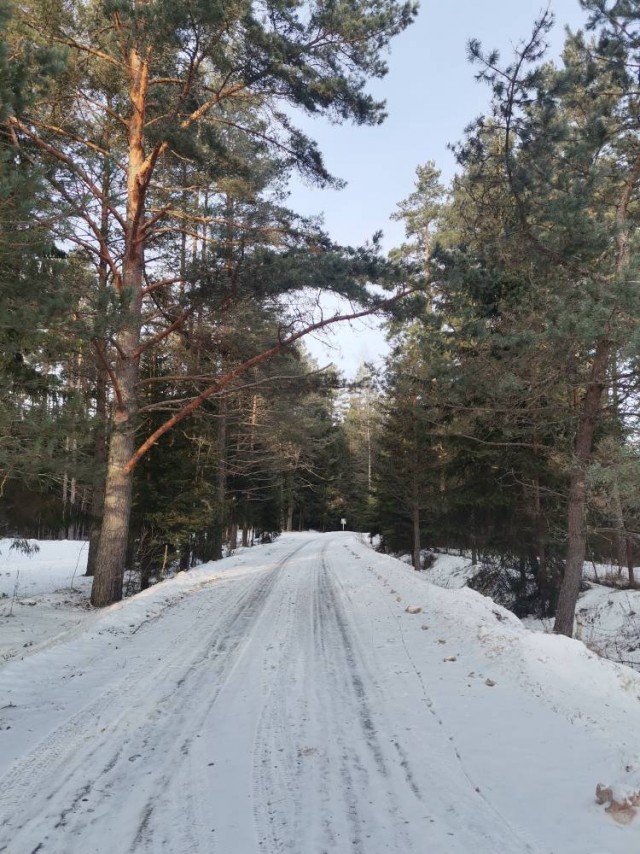 Скорее бы на дачу