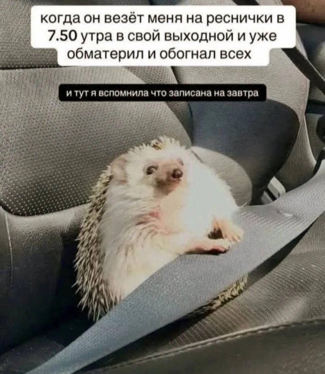 Воскресные картинки